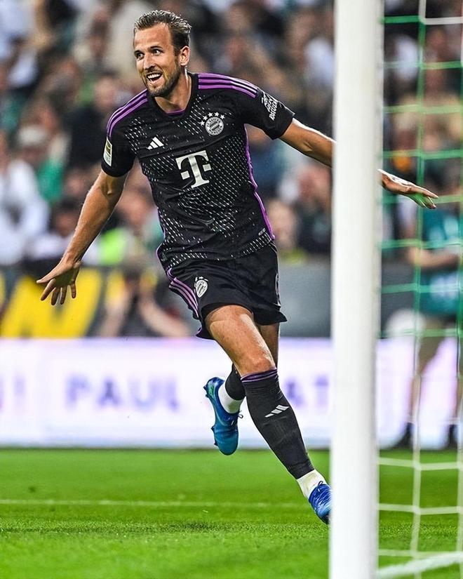 获得的领导 获得的领导