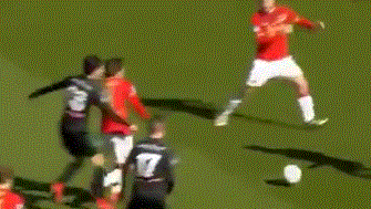 的篮球视野 的篮球视野